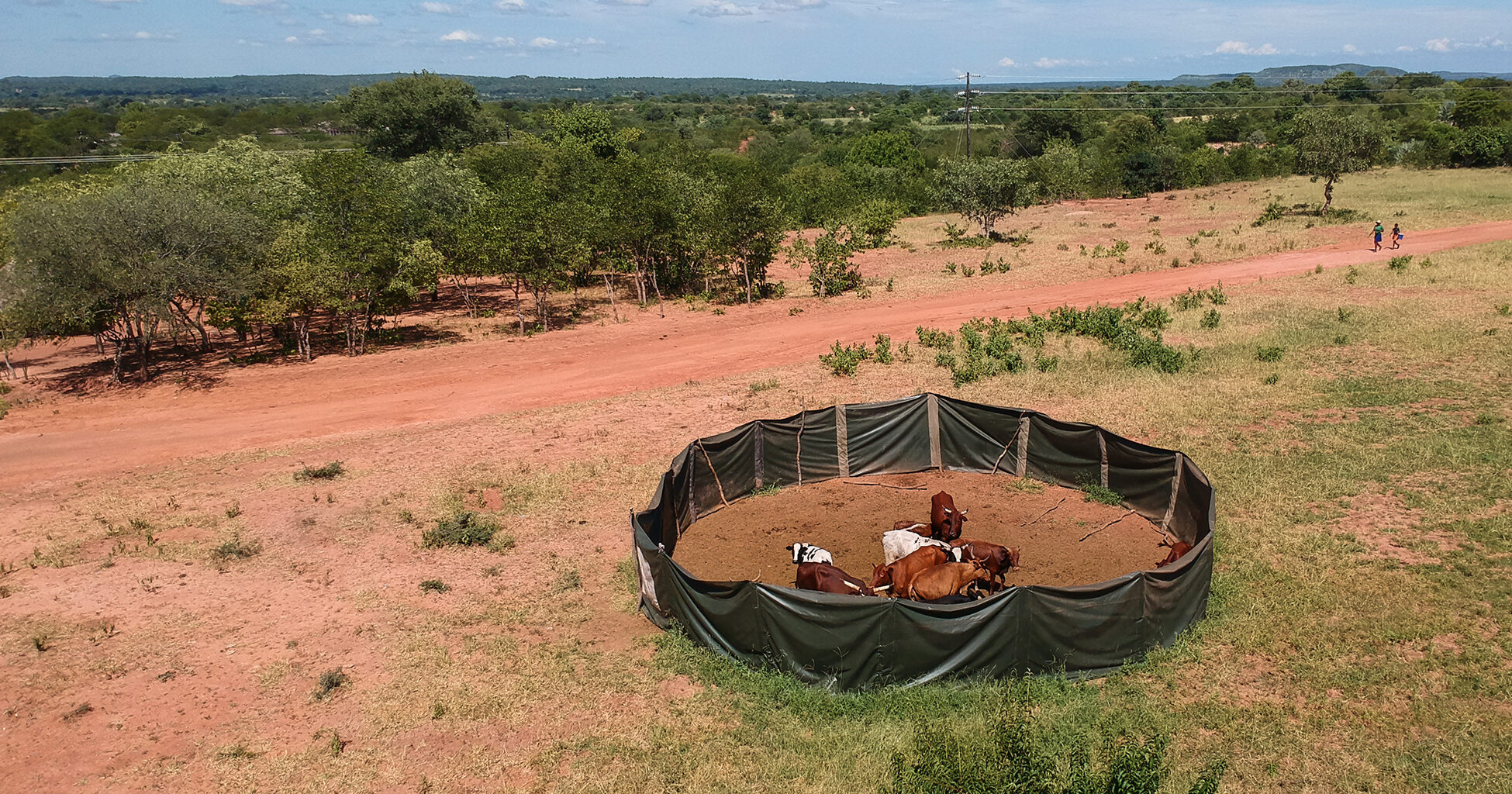Campaigns 2 African Bush Camps Foundation