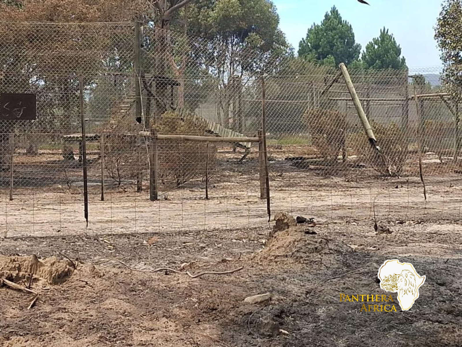 Panthera Africa Big Cat Sanctuary