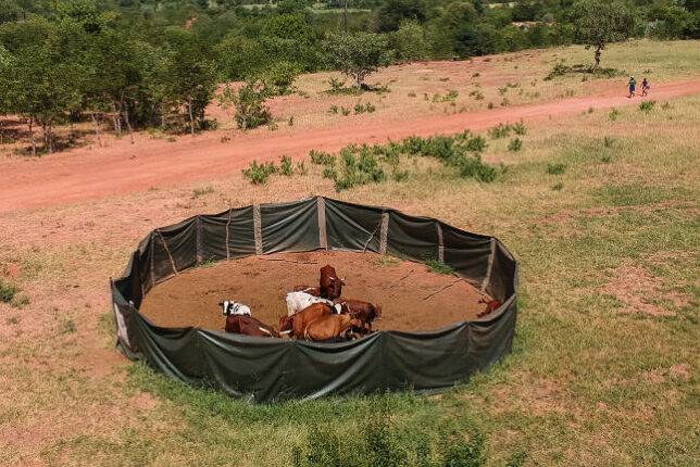 Climb for Conservation – Installing 7 Lion Bomas for Rural Communities ~ Mola, Zimbabwe