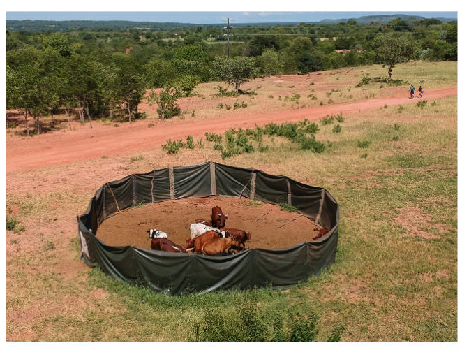 Climb for Conservation – Installing 7 Lion Bomas for Rural Communities ~ Mola, Zimbabwe