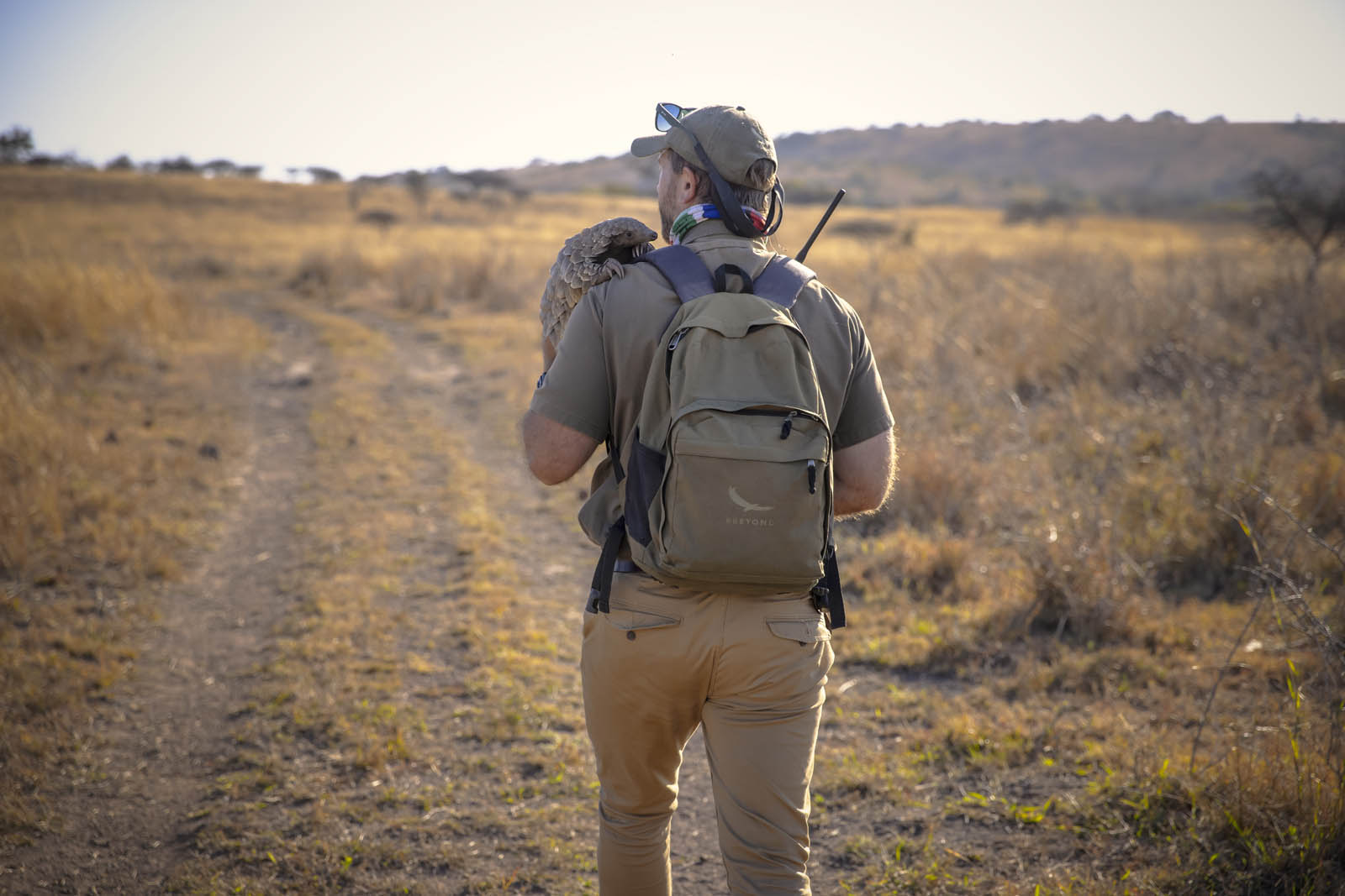 Meet the People Behind Pangolin Conservation in Africa 1 Meet the People Behind Pangolin Conservation in Africa