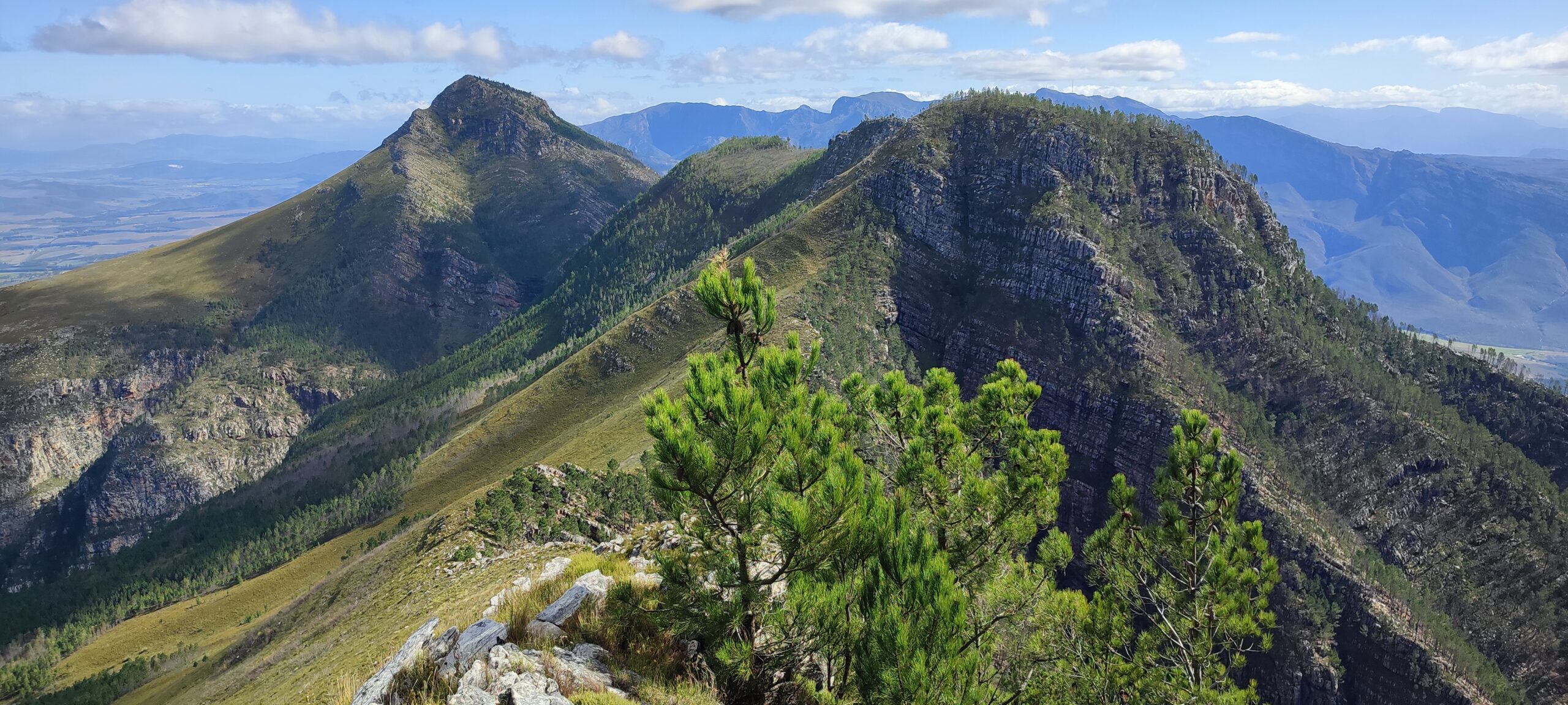Habitat Restoration in Africa